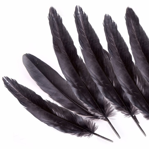 20cm black easter bonnet - black,