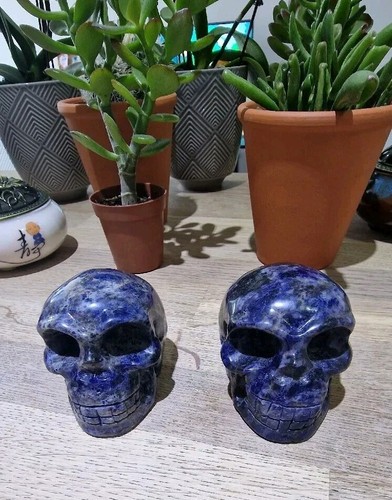 Sodalite skull crystal - crystal, carved