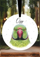 Indian Ringneck Parrot
