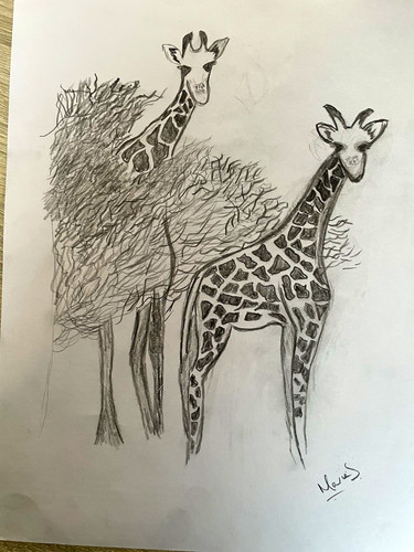 Hand drawn pencil sketch two - sketch,
