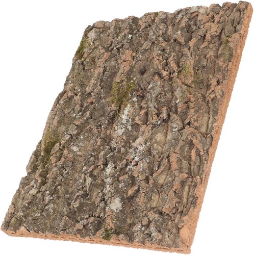 Cork bark terrarium background - bark,