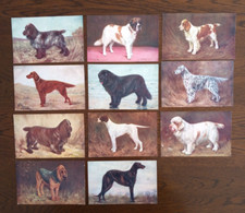 11 x Spratts Advertising Dog original postcards.