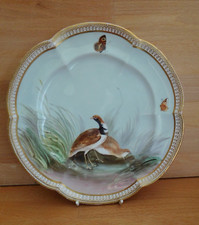 ANTIQUE COALPORT BIRD PLATE