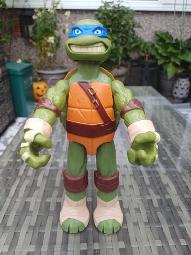Teenage mutant ninja turtles - teenage,