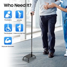 Stair Climbing Assist Cane