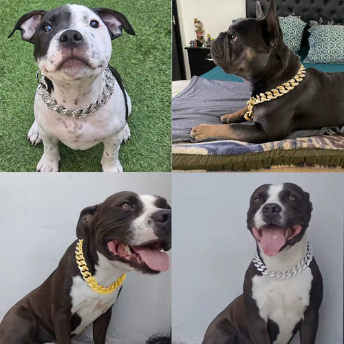 Dog collar chain - chain, inlay