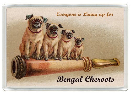 Pug dog fridge - pug,