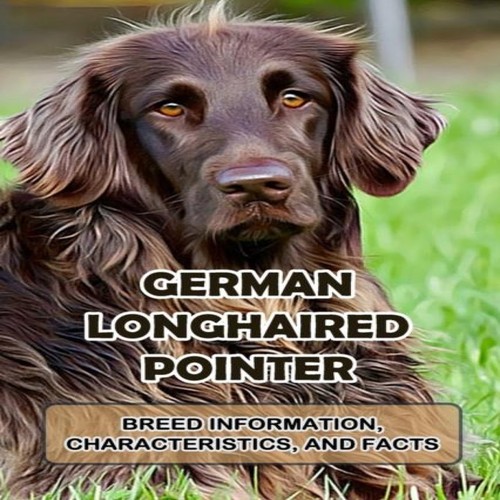 German longhaired pointer - german,