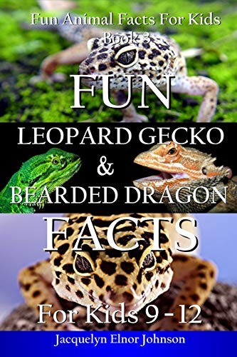 Fun leopard gecko - and, bearded