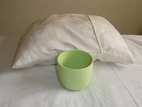 Plant pot light - plant,