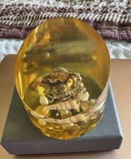 Amber Lucite Paperweight With