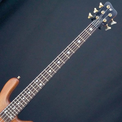 Warwick streamer stage - streamer, ii