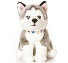 Living nature cute siberian - cute,