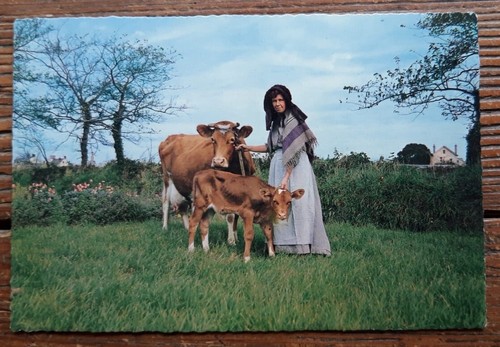Postcard milkmaid and - postcard,