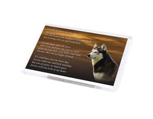 Husky dog fridge - dog, magnet