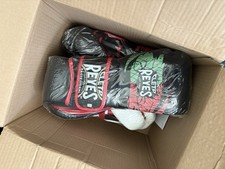 Cleto Reyes 12oz Boxing Gloves – Mexican Tri Colour (Red/Green/Black) 