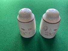 Royal Doulton Norfolk Lambethware LS1050 salt and pepper pots