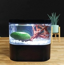 Mini Desktop Fish Tank Starter
