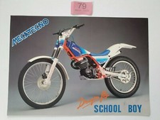 MECATECNO SCHOOL BOY DRAGON