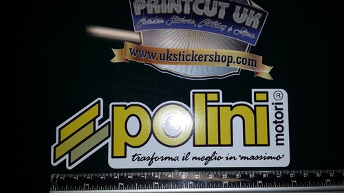 Large polini custom - 2x,