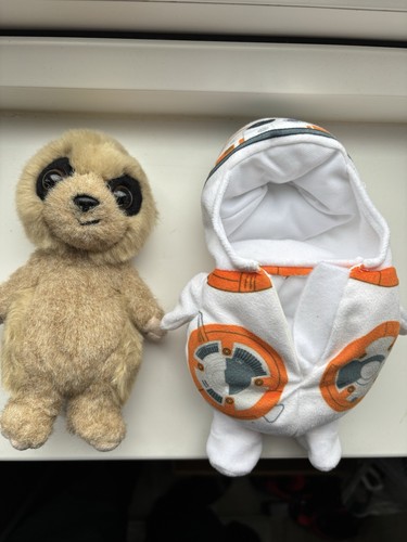 Compare the market meerkat - the,