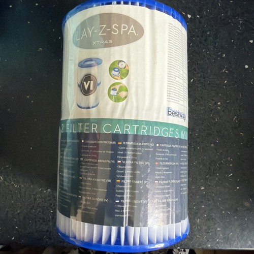 Lay spa filter - lay-z-spa,