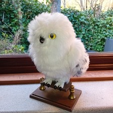 Harry Potter Enchanting Hedwig