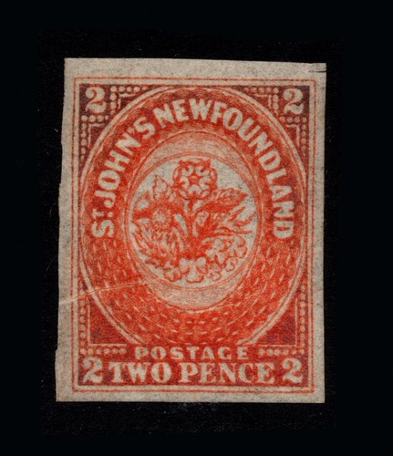 Newfoundland 1860 - newfoundland,