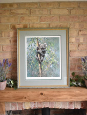 Koala by David Shepherd Large
