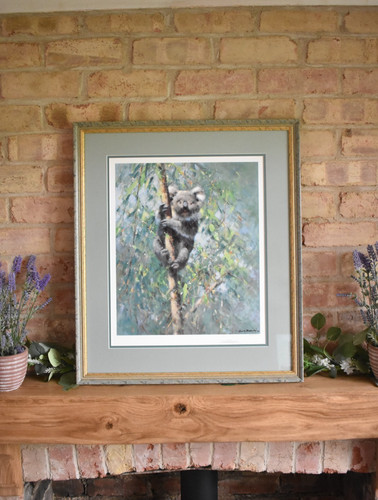 Koala david shepherd large - david,