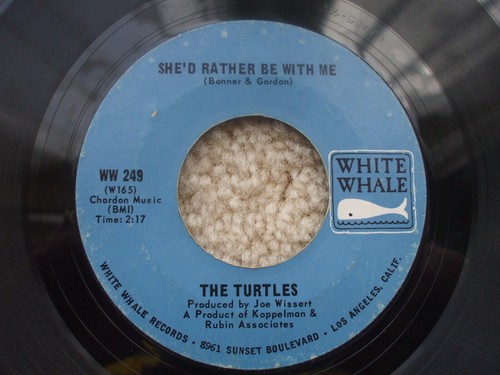 The turtles she rather be - -,
