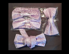 DQT Lilac Paisley ties