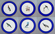 RARE UP IN ARMS CHINA PARROT BIRDS DECORATIVE PLATES set of 6 23cm