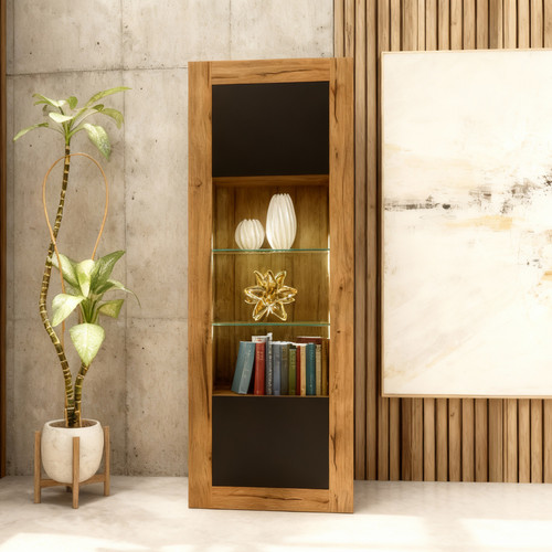 Display cabinet bookcase - display,