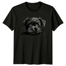 Cute Yorkie Puppy Dog Peekaboo