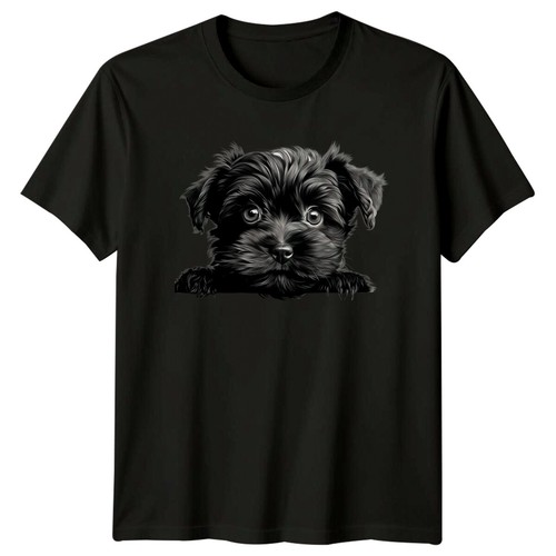 Cute yorkie puppy - puppy, dog