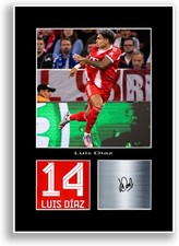 Luis Diaz Football Player