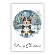 Cardigan welsh corgi - corgi, christmas