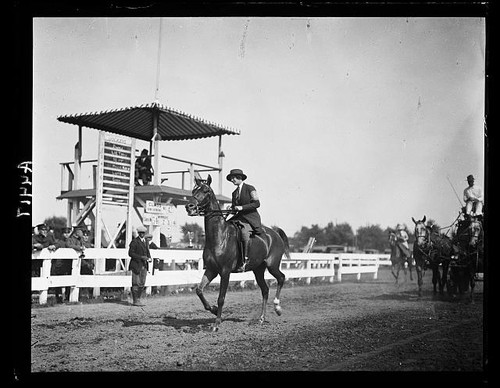 Photo horse show 1922 - photo:horse,