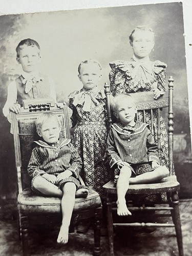 Antique photograph cabinet - antique,