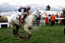 DESERT ORCHID SIMON SHERWOO