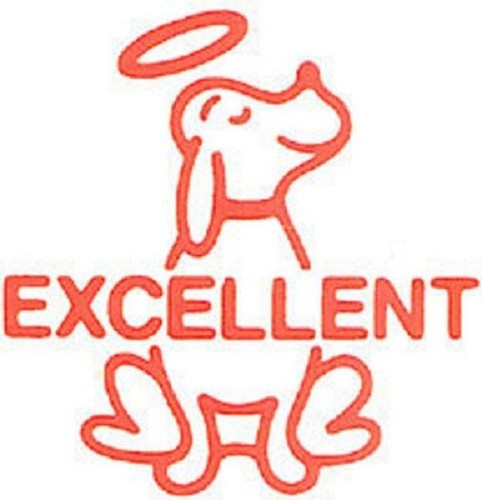 X11701 excellent self - ,