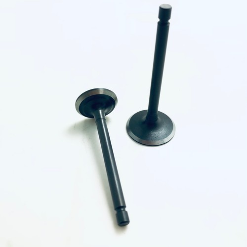 Engine intake valve - engine,