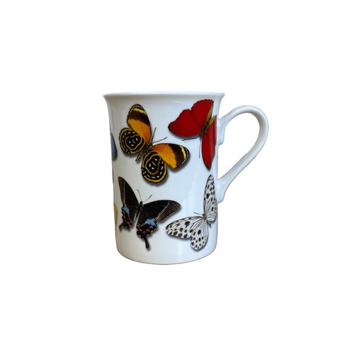 Natural history museum mug - museum, |
