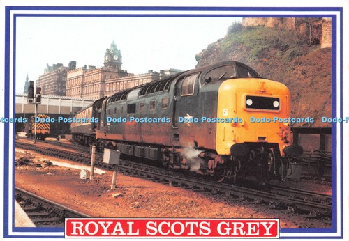 D093746 royal scots grey - d093746,