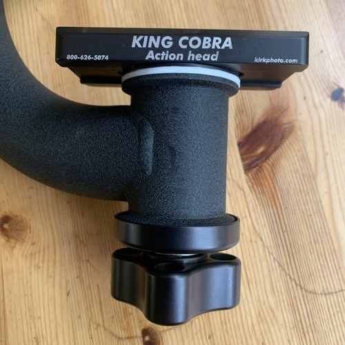 Kirk king cobra action - king, head