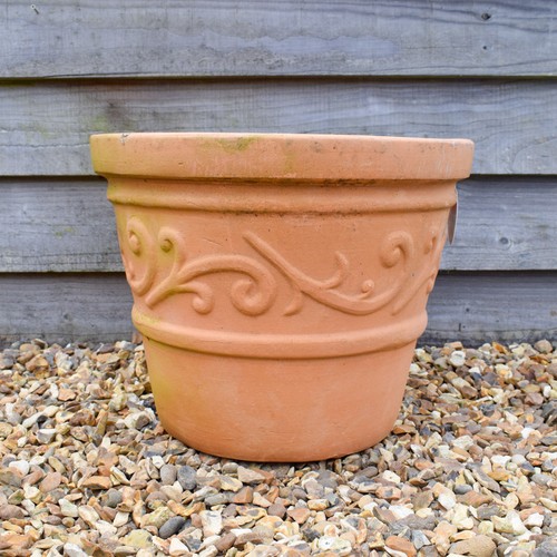 Plant pot terracotta - plant,