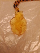 Rare Yellow Honey Coloured