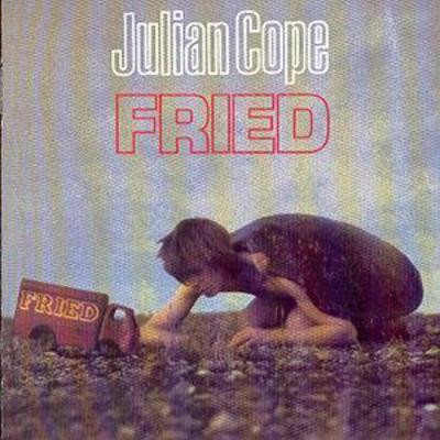 Julian cope fried - julian, cope: