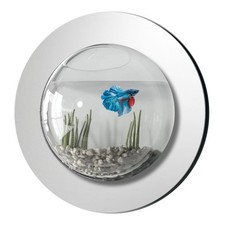New wall mounted fish tank - wall,